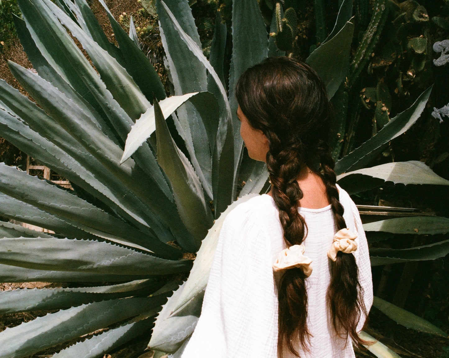 Woman standing in front of a agave plant with her beautiful dark brown hair tied in two braids with soft yellow silk scrunchies dyed with local eucalyptus found around LA. Goose Summer's Honey silk scrunchies are dyed with eucalyptus. Goose Summer is a small, sustainable plant dyeing business making naturally dyed silk scrunchies and other accessories in Los Angeles.