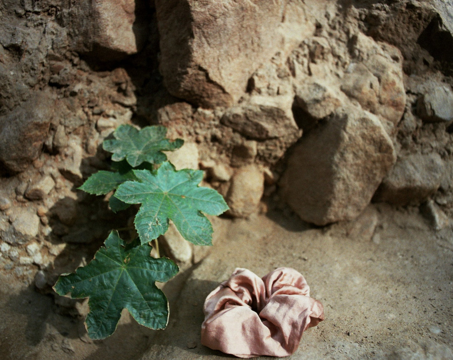 Goose Summer Apricot Scrunchie is a light pink silk scrunchie naturally dyed with cutch bark. The Apricot Scrunchie is displayed in nature against some rocks, and beside a green plant. The silk scrunchie is shining in the sun.