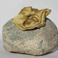 Gold silk scrunchie on a rock