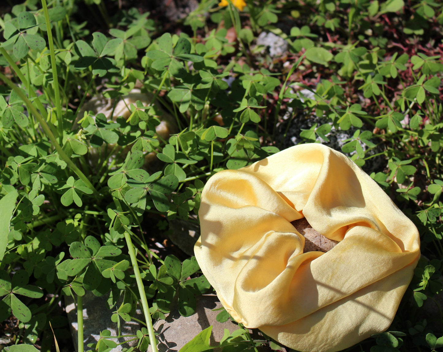 Goose Summer plant dyed silk scrunchie Honey, is dyed with osage orange bark. The yellow silk scrunchie is a lying in a bed of clovers