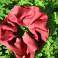 A ruby red silk scrunchie dyed with madder root to make a striking crimson red silk scrunchie, laying in a bed of clovers