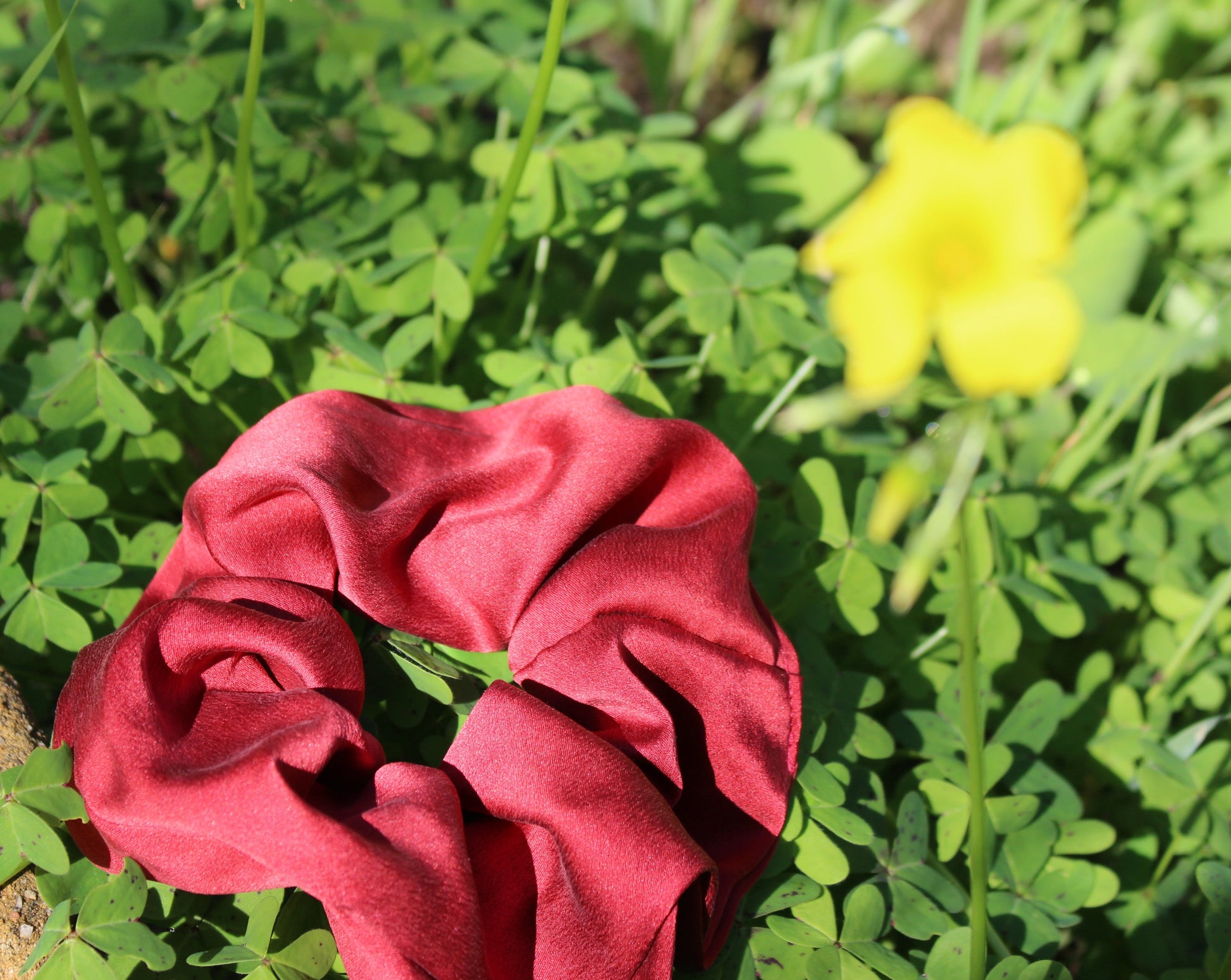 A ruby red silk scrunchie dyed with madder root to make a striking crimson red silk scrunchie, laying in a bed of clovers and a blurry yellow flower in the right corner of the frame