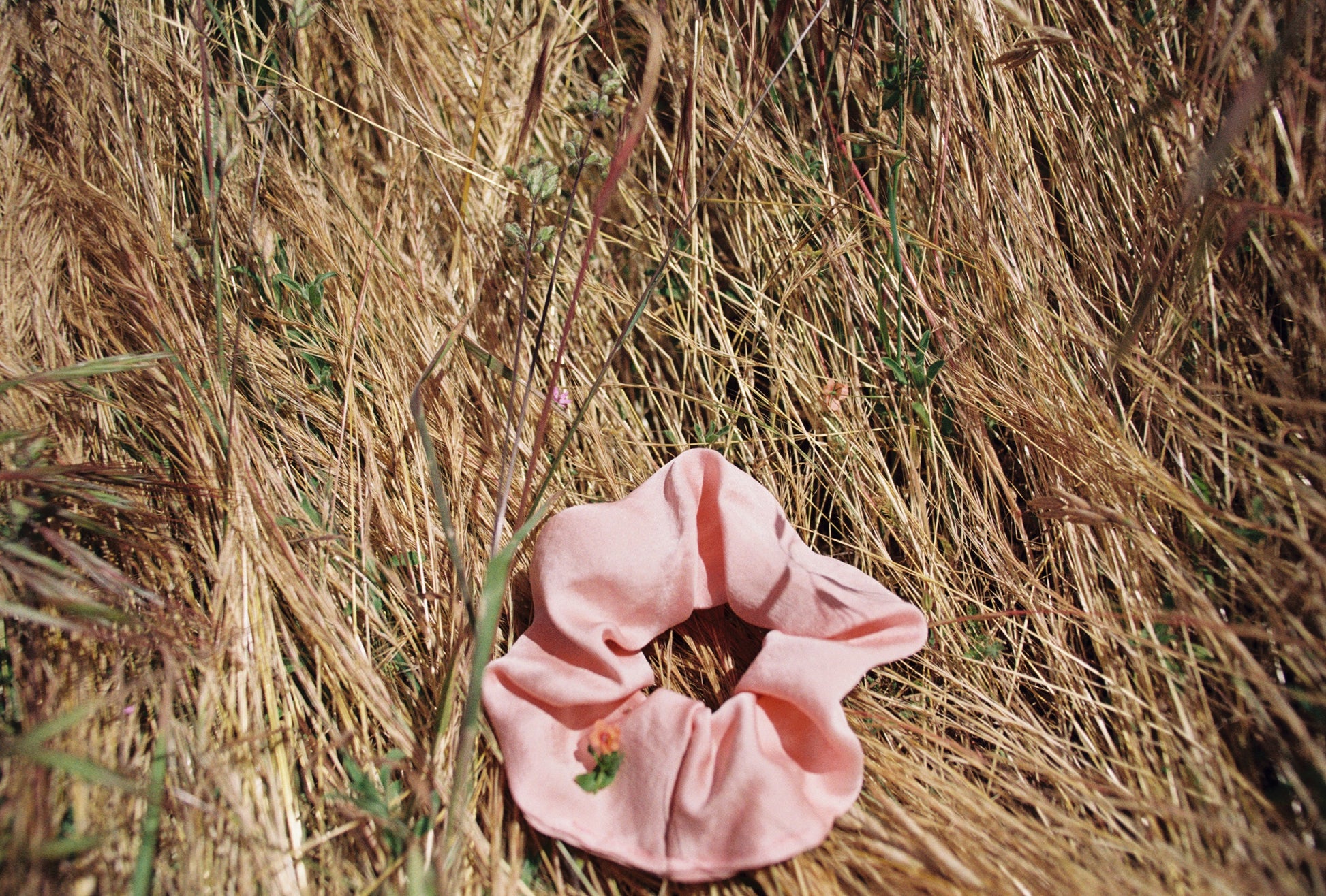 A pink plant dyed silk scrunchie is laying in a field of wheat grass. Hand made my Goose Summer Plant Dyes.Goose Summer is a small, sustainable plant dyeing business making naturally dyed silk scrunchies and other accessories in Los Angeles. 