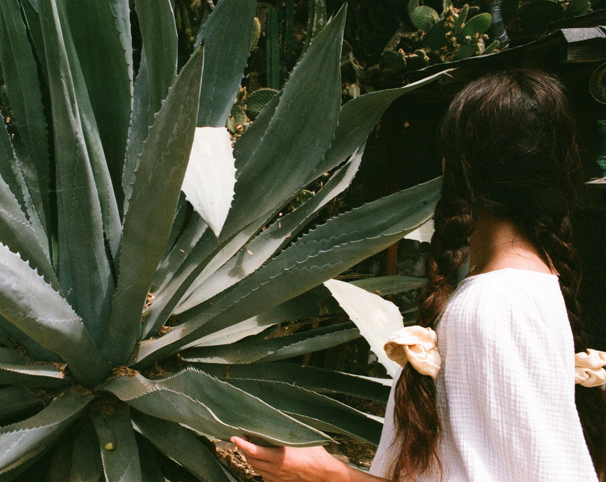 Woman standing in front of an agave plant with her hair tied in braids. She is wearing Goose Summer's Honey silk scrunchies, which are a soft buttery yellow hue. They are plant dyed with eucalyptus leaves. Goose Summer is a small, sustainable plant dyeing business making naturally dyed silk scrunchies and other accessories in Los Angeles. 